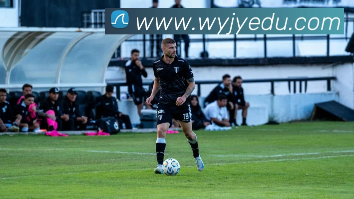 乐鱼网页版平台生态图