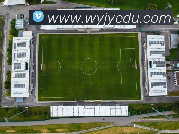 乐鱼网页版平台生态图