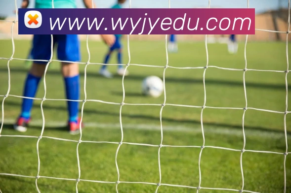 乐鱼网页版APP 封面图